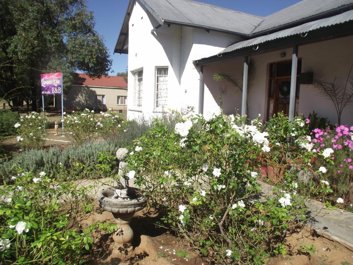 Lavender Rose Bed & Breakfast Bethulie Exterior photo